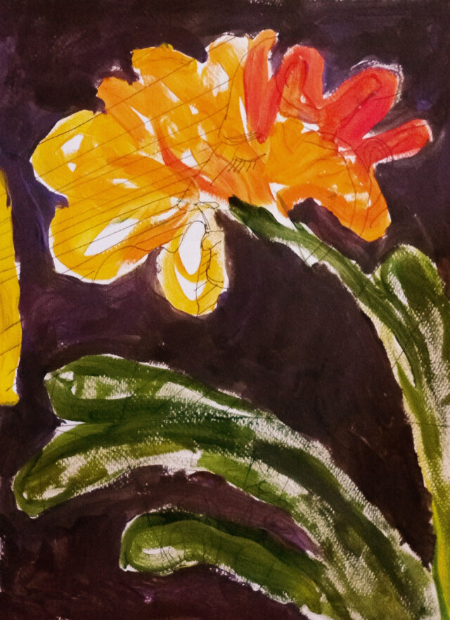 Night Flower
