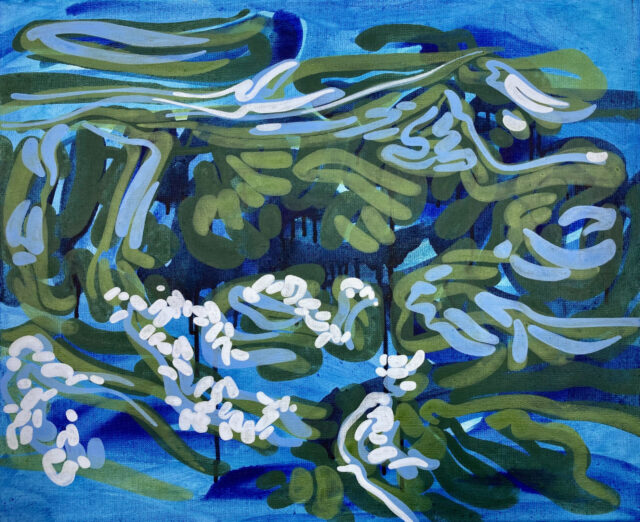 Rapids 1