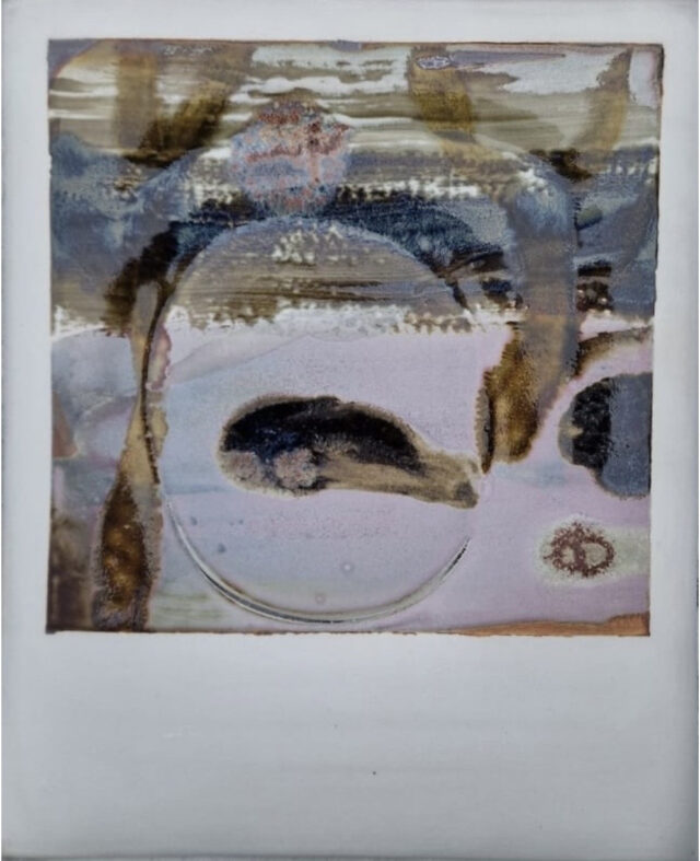 Polaroid