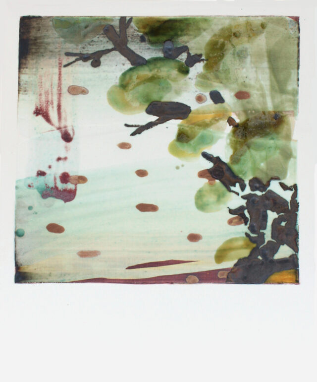 Polaroidi