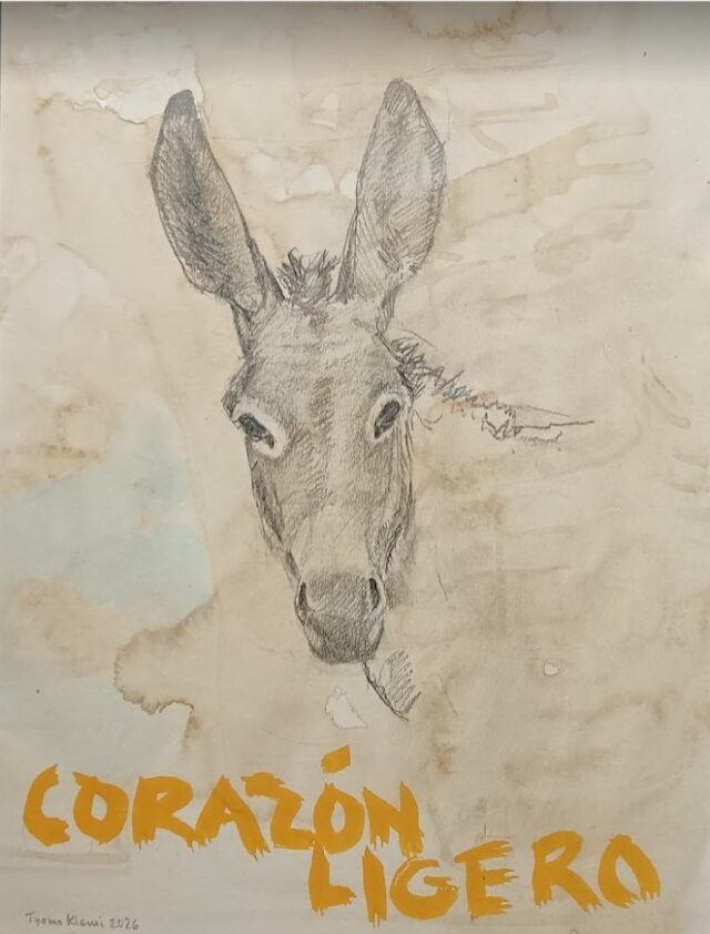 Huoleton