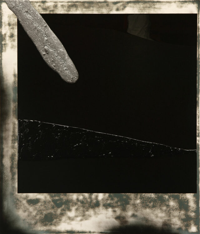Polaroid I