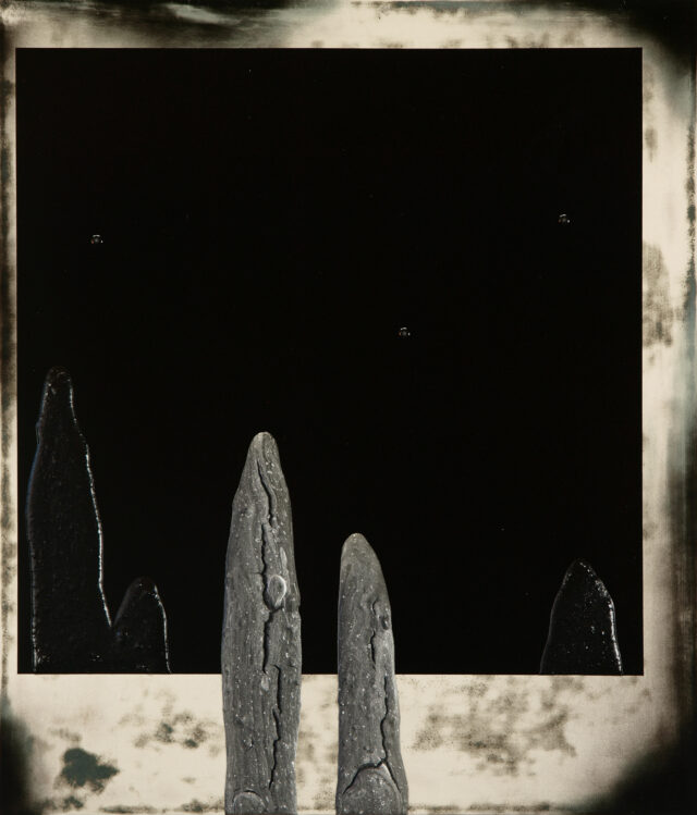 Polaroid I
