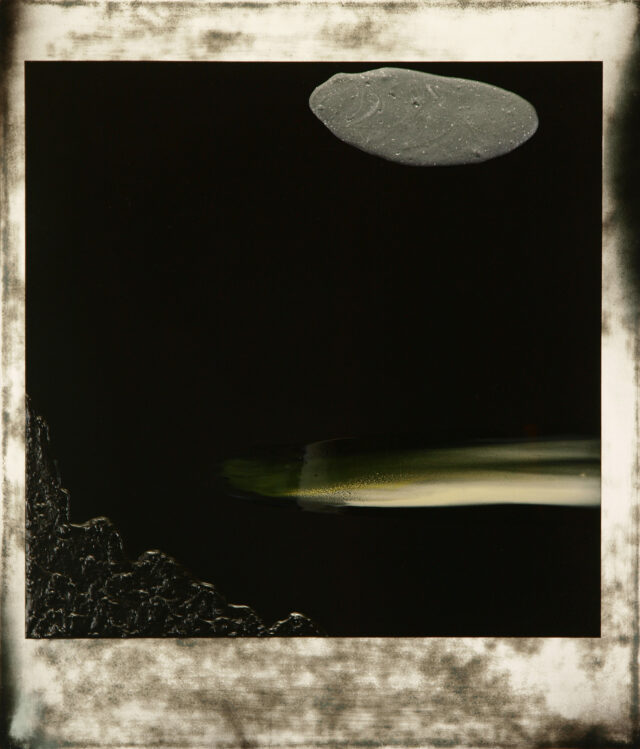 Polaroid V
