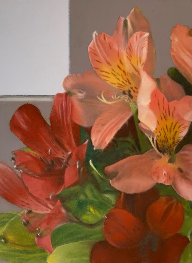 Alstroemeria