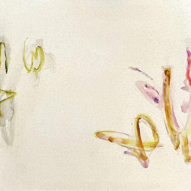 Erottamattomat