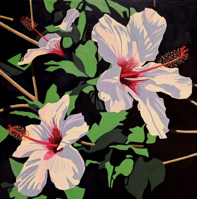 Hibiscus