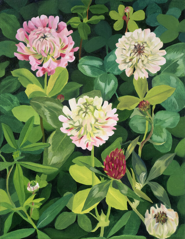 Clover