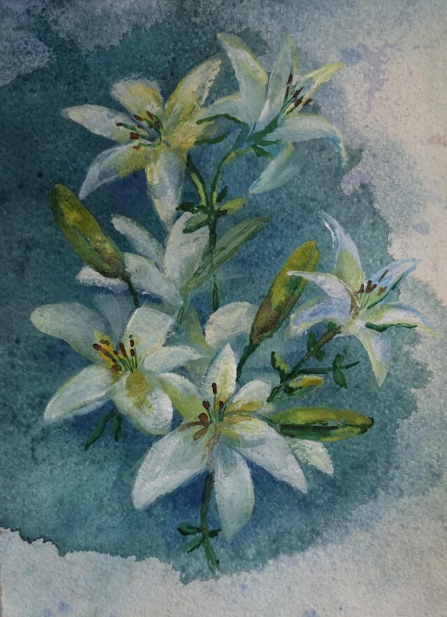 Lilies
