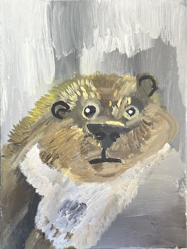 Hauska saukko
