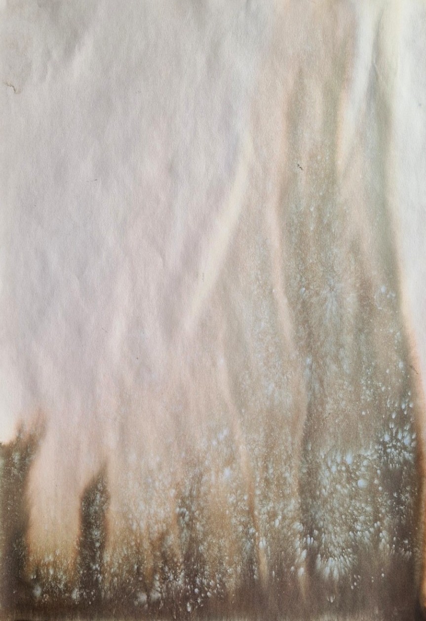 Korpivalkeat - Image 2