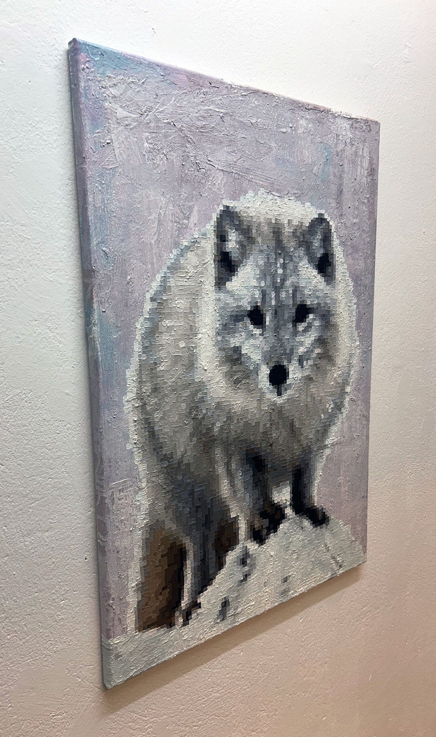 Vulpes lagopus - Image 2