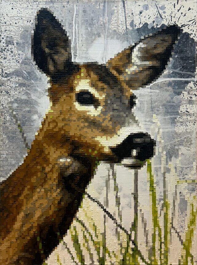 Capreolus II