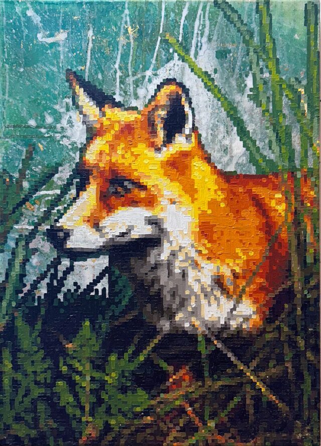 Vulpes II