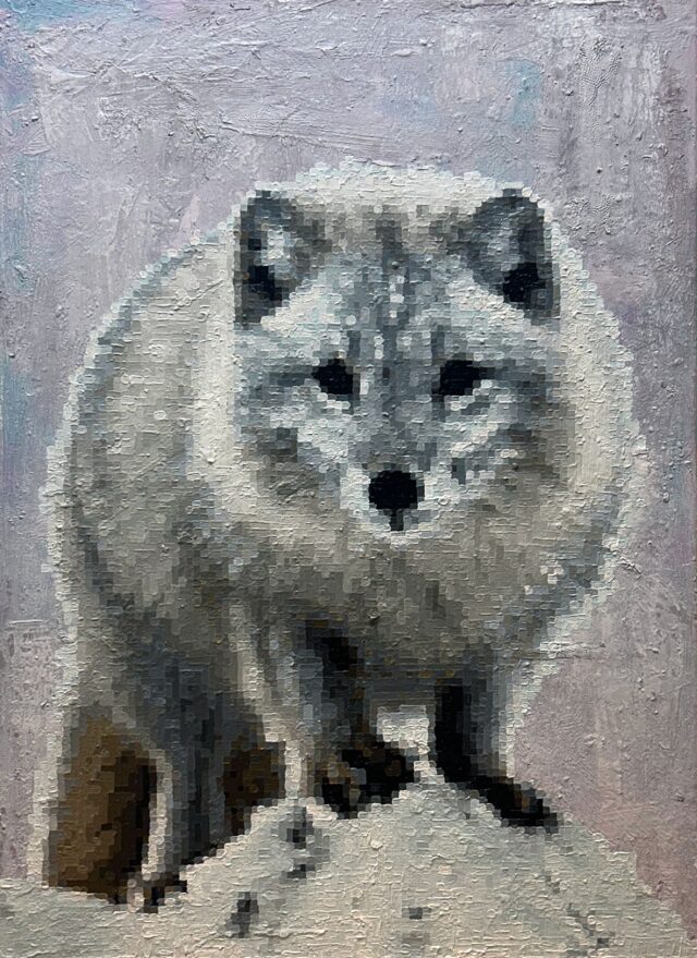 Vulpes lagopus