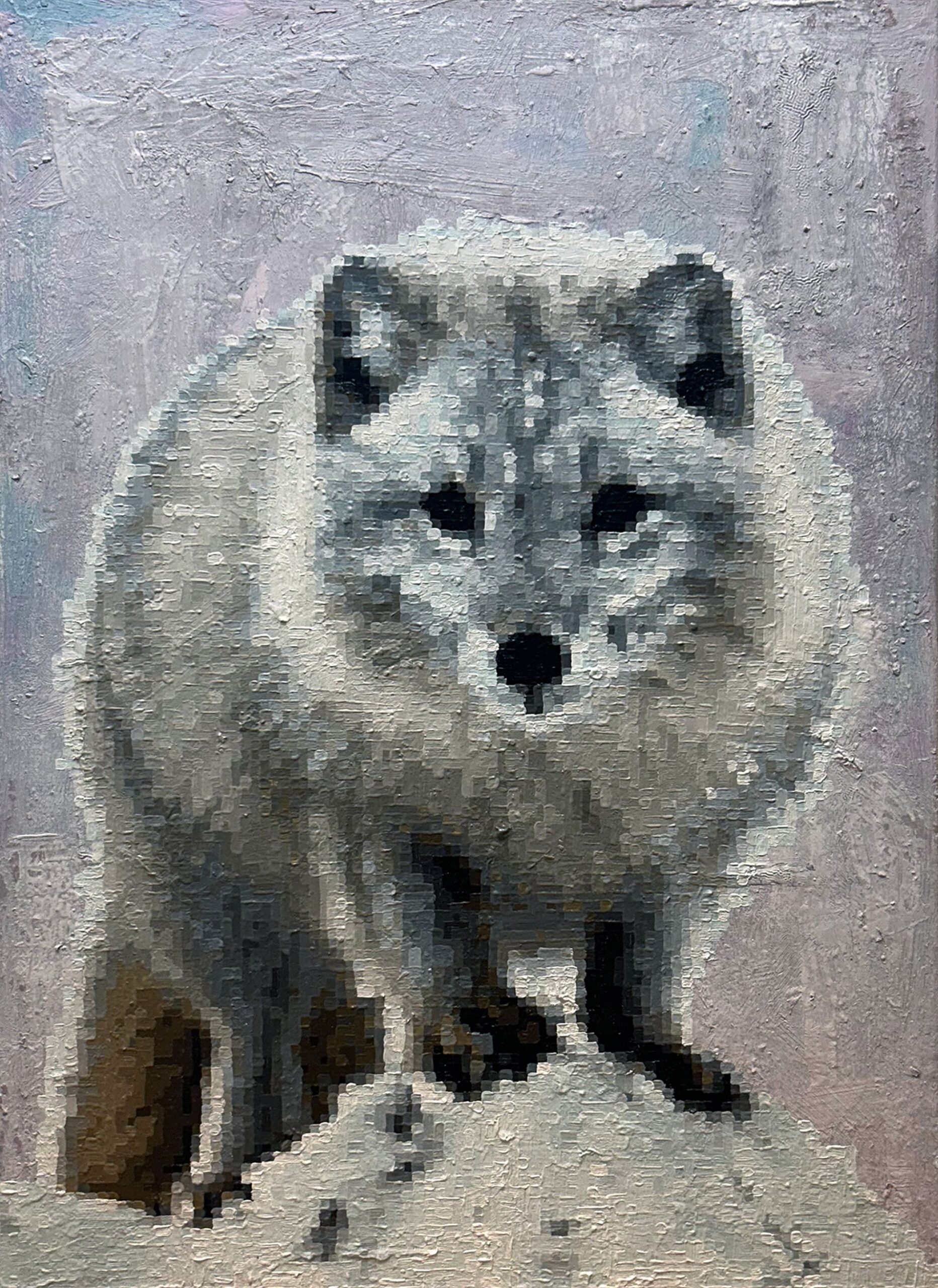 Vulpes lagopus